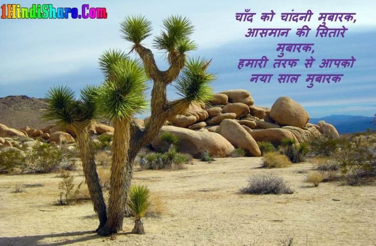 Happy New Year Shayari Hindi image photo wallpaper hd download