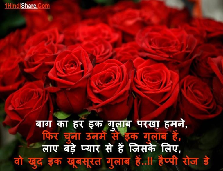 Best Happy Rose Day Status in Hindi Images | गुलाब दिवस रोज डे पर स्टेटस